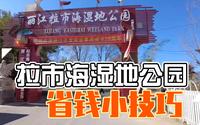 小伙带你省钱逛丽江拉市海，不报团不骑马，只欣赏自然风光。
