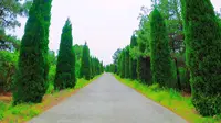 驻马店龙天沟风景区，景美、人少，而且免费