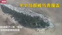 鄱阳湖鞋山岛：半个岛被鸟粪覆盖变“雪山”