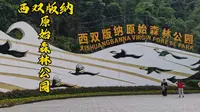 西双版纳自由行之原始森林公园，攻略和避坑，孔雀放飞是精华，离大门近，爱伲山寨走路过去十几分钟，有哈尼族演出可看，不想去森林游玩建议不坐电瓶车，看看孔雀放飞就值了