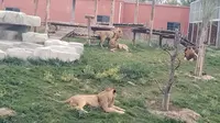 兰州野生动物园