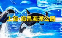 上海海昌海洋公园超详细旅行攻略！如何用一天时间花最少的钱，打卡上海海昌海洋公园
