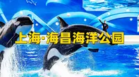 上海海昌海洋公园超详细旅行攻略！如何用一天时间花最少的钱，打卡上海海昌海洋公园