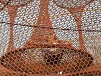 格润富德 牛嘟嘟