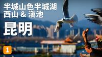 西山+滇池｜云南昆明必走的一条山海线：从西山龙门的石刻匠心，到横跨滇池的浪漫索道，最后在漫天海鸥中，可以感受到整座城市的心跳