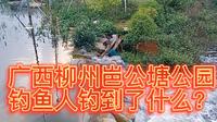 广西柳州岜公塘公园的钓鱼人钓到了什么？