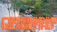 广西柳州岜公塘公园的钓鱼人钓到了什么？