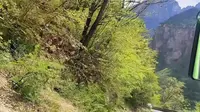 万仙山一日游攻略