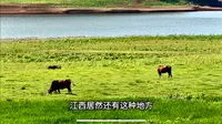 探索江西明月山 不料发生怪事 只好提前下撤