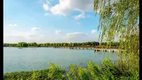 淮北市南湖公园介绍