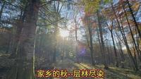 2024_10_04_Vlog_干饭盆森林公园
