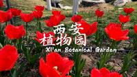 西安植物园 | 陕西·西安 | 4K