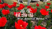 西安植物园 | 陕西·西安 | 4K