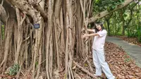 西双版纳南药园小逛～植物爱好者的天堂