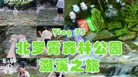 Vlog75 北罗霄森林公园丨自驾溯溪之旅丨逃离长沙丨远离人群和手机丨感受大自然