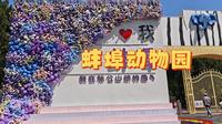 【游玩日记】蚌埠张公山动物园，三十元的门票是否值得？