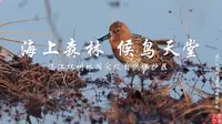 湛江红树林国家级自然保护区总面积20278.8公顷，其中天然红树林面积9000余公顷，约占全国红树林总面积的33％