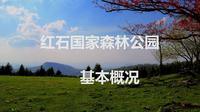 红石国家森林公园介绍-基本概况