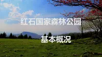 红石国家森林公园介绍-基本概况