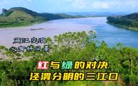 红水河与柳江交汇处，黔江起点，来宾三江口，两江交汇必有好风景