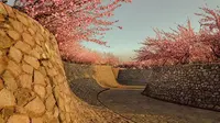 恋地情结丨日照白鹭湾樱花小院 | 2021 LA风景园林奖获奖项目