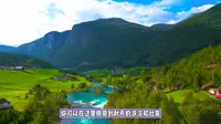 【鲁朗林海】人生必去之地！你绝对想不到的惊艳风景！#鲁朗林海 #西藏旅游 #艺术与历史的相遇