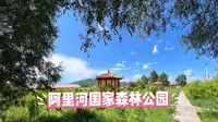 大兴安岭深处的绿野仙踪：阿里河国家森林公园