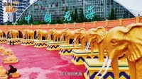 五一游遂宁，打卡中国死海，看演出，玩漂浮，在康养与欢乐间切换