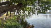 【杜比视界】游广州荔湾湖公园