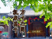 央视镜头下的青州→青州偶园  方寸之间 气象万千