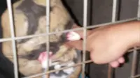 南宁人民公园鬼屋