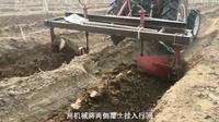 马丁酒庄2020出土展藤