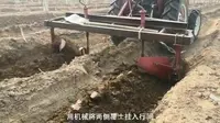 马丁酒庄2020出土展藤