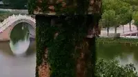 淄博桓台红莲湖的水塔很有味道