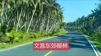 自驾海南环岛旅游公路，文昌东郊椰林段全长18公里，美翻了