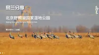 【易兰分享】北京野鸭湖国家湿地公园丨景观设计案例分析