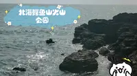 北海鳄鱼山火山公园：到底是怎样的地方？