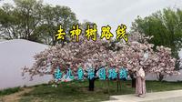 不吹不黑！朝阳四得公园真实攻略｜遛娃赏花交通指南