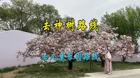 不吹不黑！朝阳四得公园真实攻略｜遛娃赏花交通指南