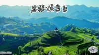 只此青绿，苍翠欲滴，神仙嫉妒，凡人神往！万亩贡茶园『恩施·伍家台』 #旅游 #旅行 #恩施 #宣恩 #伍家台 #茶园  #1080P #偲源の荟