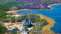 150723A01达尔滨湖熔岩杜鹃（4A、纪录片《航拍中国》兴安杜鹃)五月上旬