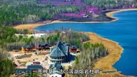 150723A01达尔滨湖熔岩杜鹃（4A、纪录片《航拍中国》兴安杜鹃)五月上旬
