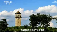 【传统民居】开平碉楼概况