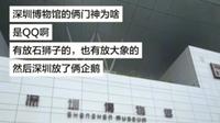 网友疑问，深圳博物馆放的 两门神为啥是两只QQ企鹅？