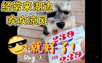 晋阳里小半日游！