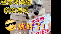晋阳里小半日游！