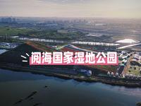 航拍宁夏银川阅海国家湿地公园