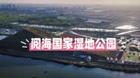 航拍宁夏银川阅海国家湿地公园