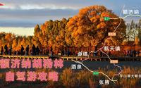 【额济纳胡杨林经典自驾游线路第一天攻略】国庆去额济纳看胡杨林，选择哪种交通方便，自驾攻略告诉你怎么玩