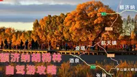 【额济纳胡杨林经典自驾游线路第一天攻略】国庆去额济纳看胡杨林，选择哪种交通方便，自驾攻略告诉你怎么玩